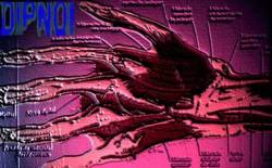 A Good Moonza A Better Moonza